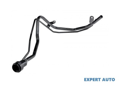Gat umplere rezervor Lexus RX (2008-2015)[GY L1 _, GGL15, AGL10,_L1_] #1 foto