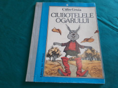 CIUBO?ELE OGARULUI/ CALIN GRUIA/ ILUSTRA?II VASILE OLAC/ 1989 foto