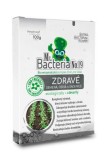 Activator Mr.Bacteria No.19 pentru seminte, osive si rasaduri sanatoase 100g