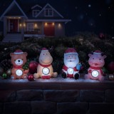 Decoratiune solara de Craciun &ndash; LED alb rece &ndash; 4 modele &ndash; 6 x 5 x 10 cm Best CarHome