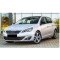 Capace oglinda tip BATMAN compatibile Peugeot 308 (2007-2013)