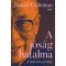 A j&oacute;s&aacute;g hatalma - A dalai l&aacute;ma j&ouml;vők&eacute;pe - Daniel Goleman