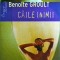 Benoite Groult - Caile inimii