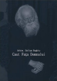 Caut fața Domnului - Hardcover - Sofian Boghiu - Bizantină