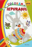Coloram cu Iepurasul. Jocuri - Erc Press