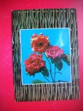 HOPCT 25109 TRANDAFIRI FLORI -FELICITARE ANIVERSARA -CP VECHE -IP--INTREG POSTAL - ROMANIA - CIRCULATA