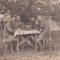 P574 Poză soldați austro-ungari 1917 cu telefon de campanie