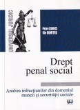 Petre Buneci, Ilie Dumitru - Drept penal social. Analiza infractiunilor din