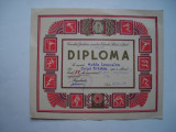 Diploma Consiliul Judetean pentru Educatie Fizica si Sport, 1974