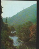 CPIB 22460 - CARTE POSTALA - TUSNAD, VALEA OLTULUI, Circulata, Fotografie