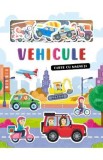 Vehicule. Carte cu magneti