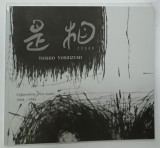 COPPERPLATE PRINT WORKS 2004 - 1986 by TOSHIO YOSHIZUMI , 2006 * DEDICATIE
