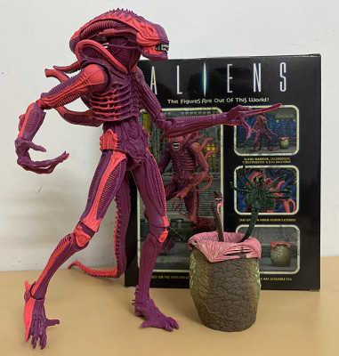 Figurina Alien Xenomorph pink Warrior 21 cm foto