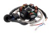 Magnetou Stator + Platou Minarelli/Yamaha 50-80cc, 7 Bobine, 5 Fire, Revo - AM6