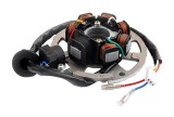 Magnetou Stator + Platou Minarelli/Yamaha 50-80cc, 7 Bobine, 5 Fire, Revo - AM6