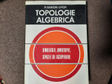 TOPOLOGIE ALGEBRICA - R. MIRON , I.POP 26/3