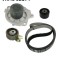 SKF VKMC 02194 Set pompa apa + curea dintata