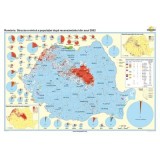 Romania. Structura etnica a populatiei dupa recensamantul din anul 2002 140x100 cm CR-3105B