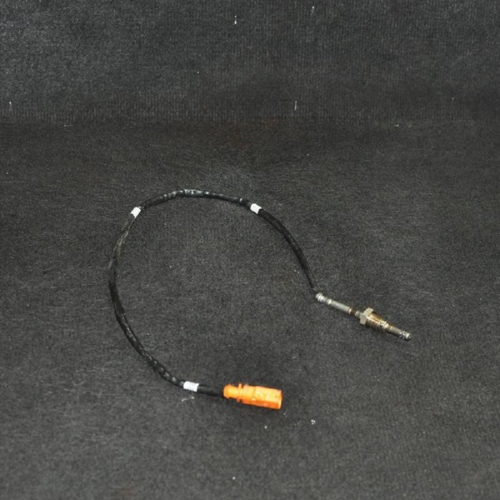 Senzor de temperatură VW GOLF VII 5G1, BQ1, BE1, BE2 2014 OEM: 04L906088B 1918998