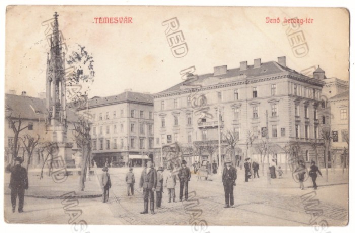 1178 - TIMISOARA, Market, Romania - old postcard - used - 1910