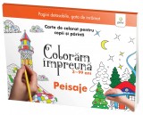 Peisaje |, Gama
