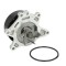 Pompa apa TOYOTA COROLLA Combi (E12J, E12T) (2001 - 2007) THERMOTEC D12083TT