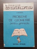 Probleme de geometrie pentru gimnaziu - I. Petrică