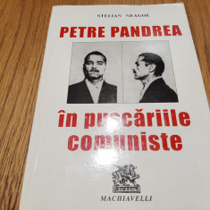 PETRE PANDREA in Puscariile Comuniste - Stelian Neagoe - 2001, 314 p.