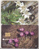 bnk card Cartela telefonica - 2003 80000 lei Flori 6