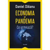 Economia si pandemia. Ce urmeaza? Daniel Daianu