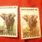 2 Timbre Coasta de Fildes 1959 - Fauna - Elefanti , stampilat