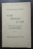Suzana Bulfinsky - &Icirc;ntre păm&acirc;nt și cer (ediția a II-a)