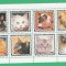 Eq. Guinea 1975 Cats - unused perforated block F.019