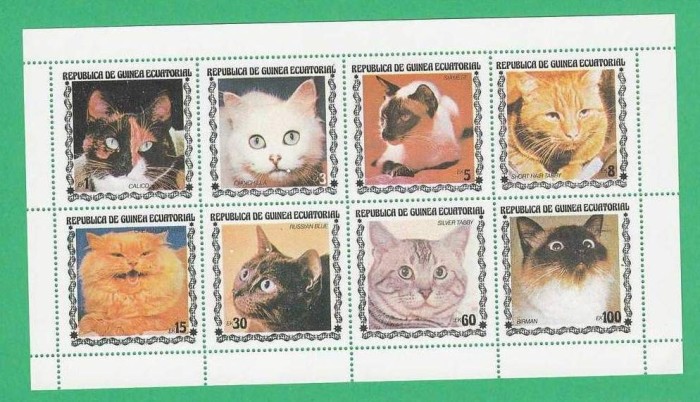 Eq. Guinea 1975 Cats - unused perforated block F.019