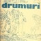 Drumuri - Mihail Sadoveanu