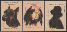 Caini de rasa - Set 3 etichete chibrituri romanesti, RSR an 1979 foto