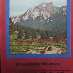 Masivul Ciucas (34) - fara harta - Maria Rodica Niculescu