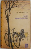 Anii adolescentei - Schite si povestiri, Ion Ariesanu - Roman