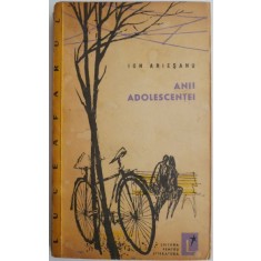 Anii adolescentei (Schite si povestiri) &ndash; Ion Ariesanu