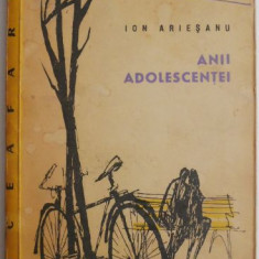 Anii adolescentei (Schite si povestiri) – Ion Ariesanu