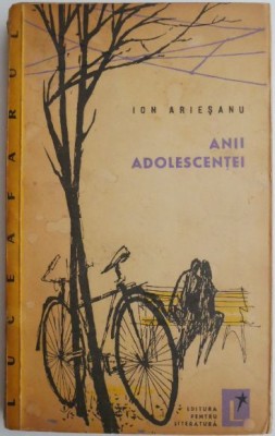 Anii adolescentei (Schite si povestiri) &amp;ndash; Ion Ariesanu foto