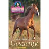 Gesztenye - &Uacute;j rem&eacute;nyek - Tilly lovas t&ouml;rt&eacute;netei 12. - Pippa Funnell