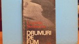 CORNELIU STEFANACHE - DRUMURI DE FUM - VIATA IN ROMANIA POST RAZBOI - 349 PAG., 1985, Alta editura