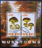 Ciuperci - Malawi 2010 - Coliță Set Complet 2 Timbre Mushrooms (Ștampilată / CTO) CP1_II