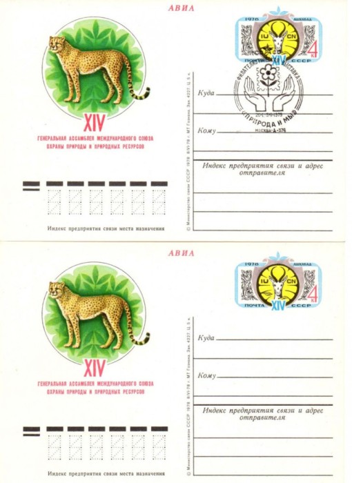 URSS 1978 Fauna, Feline