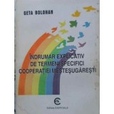 INDRUMAR EXPLICATIV DE TERMENI SPECIFICI COOPERATIEI MESTESUGARESTI-GETA BOLOHAN-230801