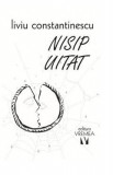 Nisip uitat - Liviu Constantinescu