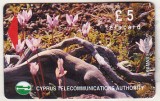 bnk card Cartele telefonice - Cipru - Flori - Wild Flowers of Akamas Forest 5 &pound; (Silver Stripe) - 17CYPB