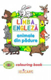 Limba engleza: Animale din padure (Colouring Book)