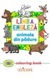 Limba engleza: Animale din padure (Colouring Book)